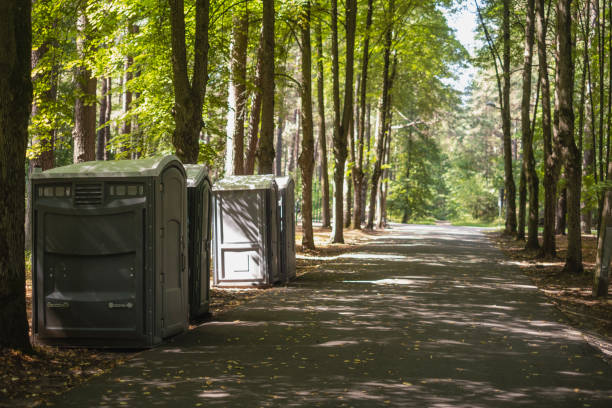 How Our Tree Care Process Works  in  Claryville, KY